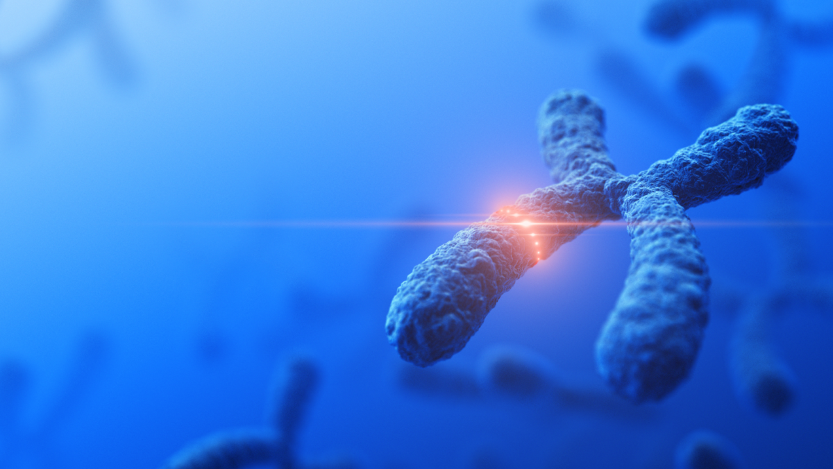 イメージ画像：DNAアクティベーションと遺伝病の関係とは？