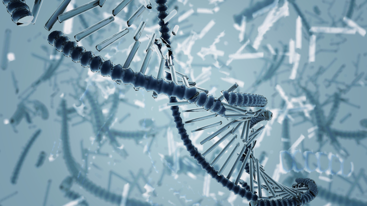 イメージ画像：DNAアクティベーションとストレスの関係について